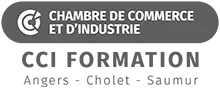 Logo de la CCI Angers, Cholet, Saumur