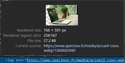 Sur la page d'accueil de Spécinov, l'image située en début de page a une taille de rendu de 768*501 px. Nous connaissons cette donnée grâce à la console de développement.
